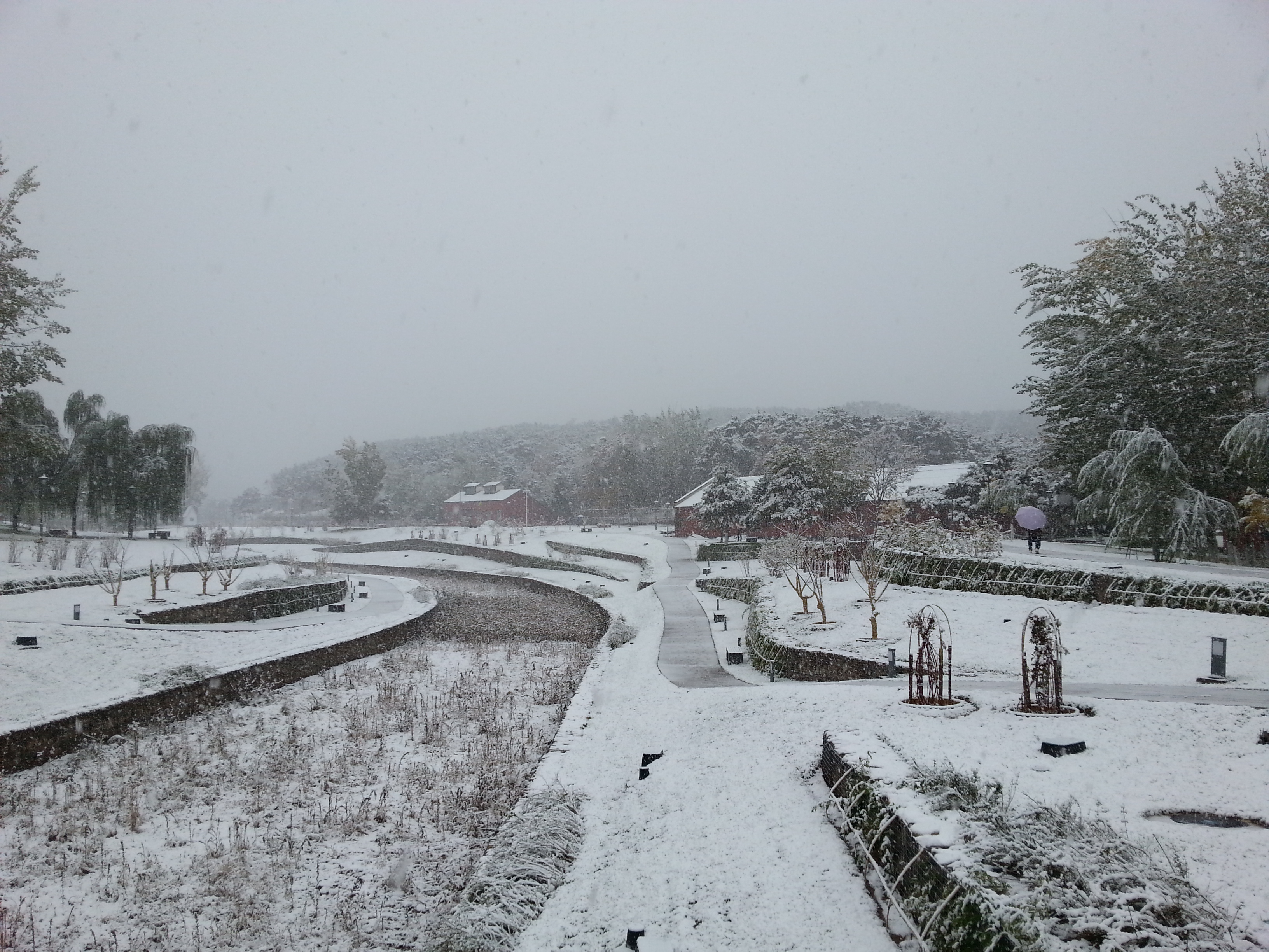 2015_11_06_beijing_snow